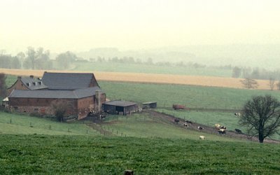 Il a plu sur le grand paysage