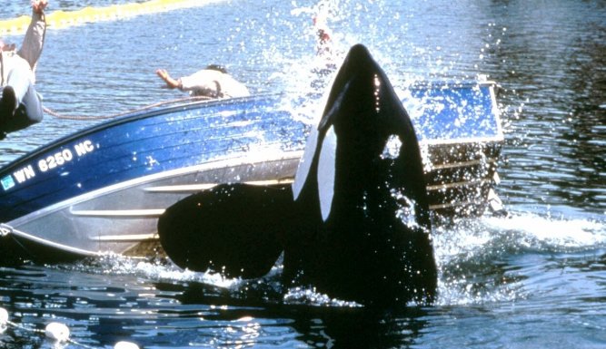 Sauvez Willy II
