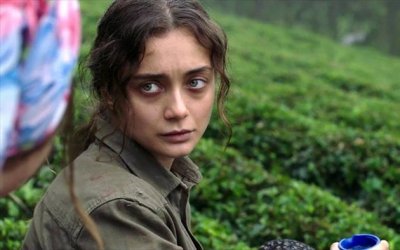 Sibel