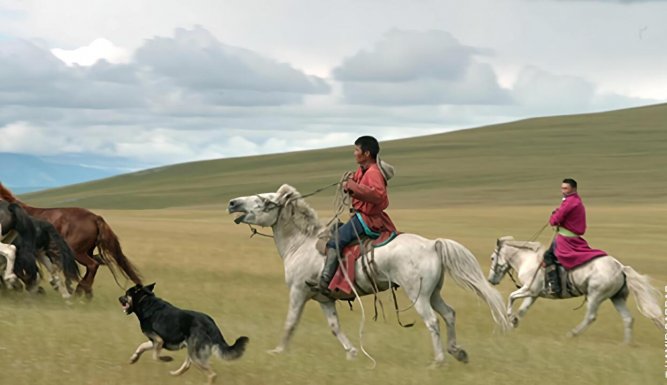 Le cavalier mongol