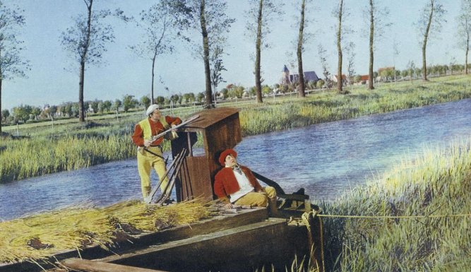 Les aventures de Till l'espiègle