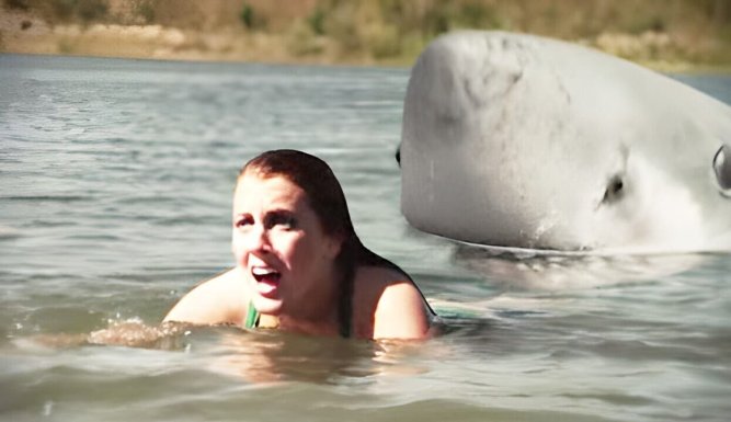 Jurassic shark