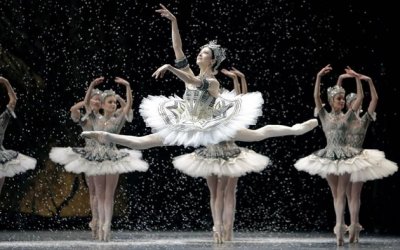 La danse, le ballet de l'Opéra de Paris