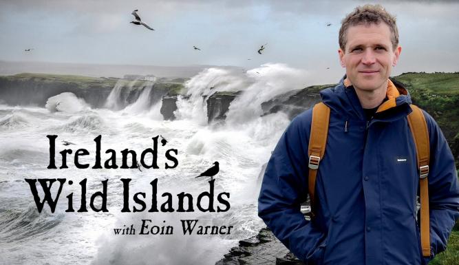 Les îles irlandaises, avant-postes de l'océan