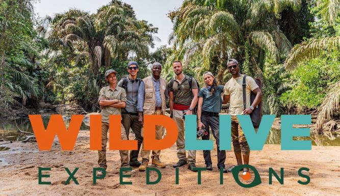 WildLive Expeditions