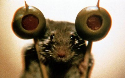 La souris