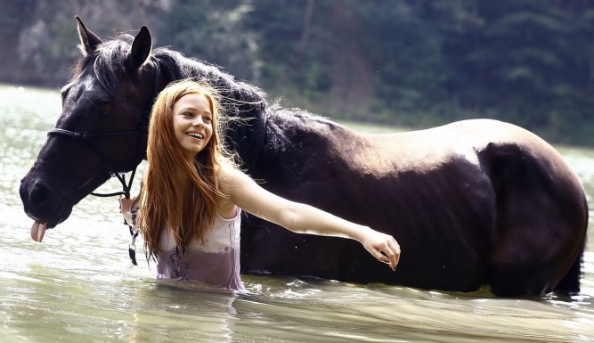 Whisper: Libres comme le vent