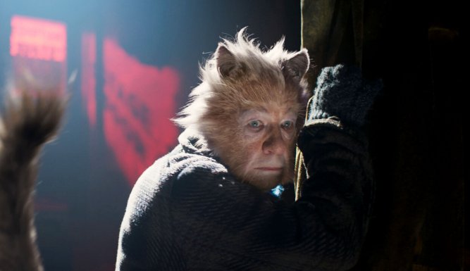 Cats