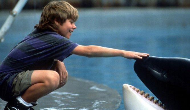 Sauvez Willy