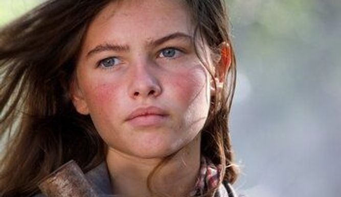 Belle et Sébastien : l'aventure continue