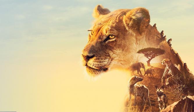 Serengeti