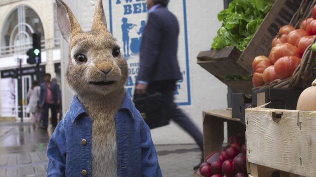 Pierre Lapin 2