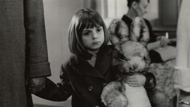 Cause toujours mon lapin